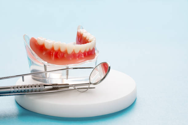 Best Pediatric Dentistry  in Elkhart, IN